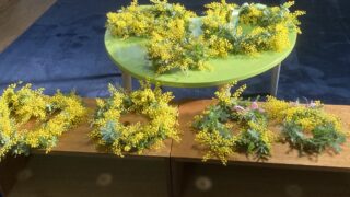 IMG_2839-1-320x180.jpeg
